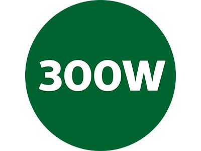 Powerful 300W motor for great results