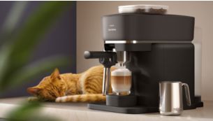 Psst &ndash; so leise!