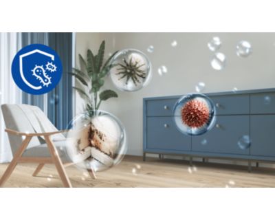 Combats moist, mold, and odours