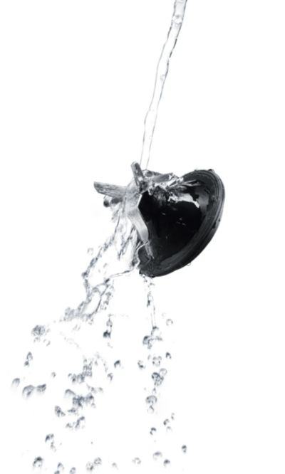 Easy cleaning with detachable blade