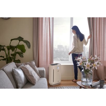 Product in Use Photo Philips Air Cleaner AC2880/00