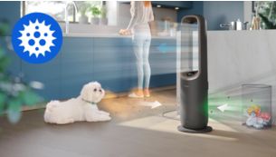 Removes allergens, bacteria, viruses, smells, and gases