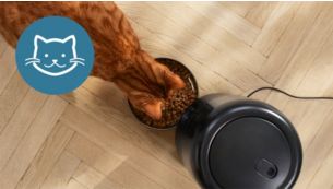 Bol adapté aux moustaches, idéal pour les chats