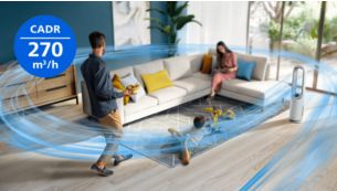 Thorough purification of rooms up to 70m2(2)