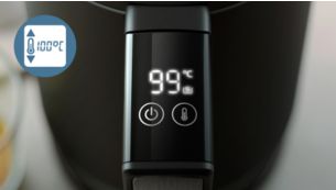 Precision temperature display