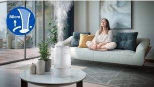 Brumisation d'altitude, pour une humidification plus uniforme