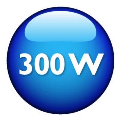 Galingas 300 W variklis