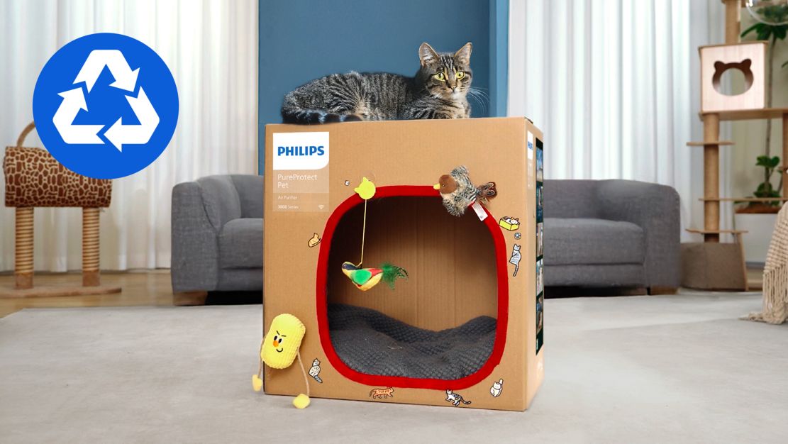 Eco packaging turns into a cozy cat home