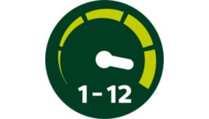 12 ajustes de velocidade