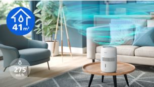 Effektiv in R&auml;umen bis zu 41 m&sup2; mit 275 ml/h