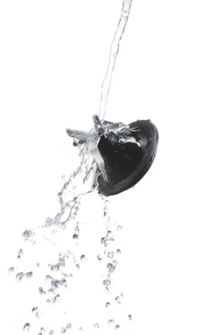 Snemljivo rezilo za enostavno čiščenje