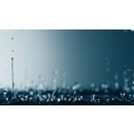 Viena įkrova (11) pasirūpinsite nepriekaištinga visų namų švara