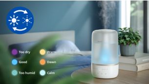 Égayez votre intérieur avec l'éclairage d'ambiance dynamique