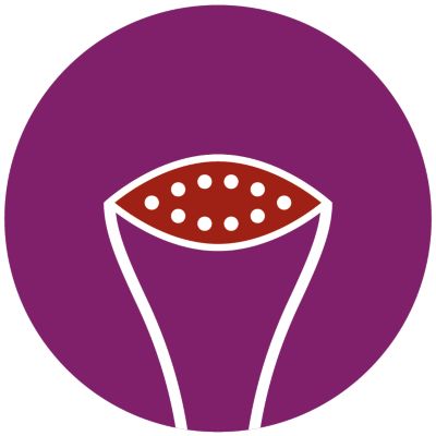 SmartFlow heated plate for better steaming results*