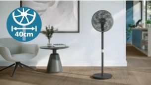 تصميم أنيق وعصري