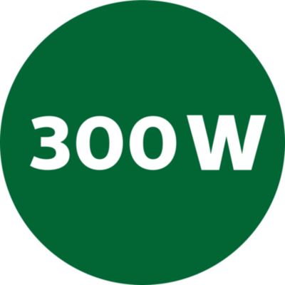 Motor potente de 300W