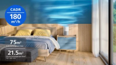 Пречиства помещения до 75 м²
