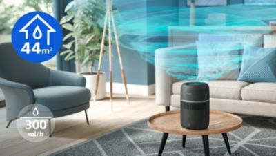 Efektyvus patalpose iki 44 m² su 300 ml/val. išskiriama drėgme