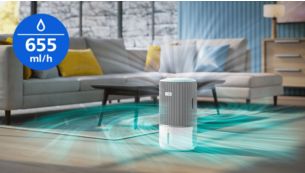 Automatic humidification of up to 655ml/h