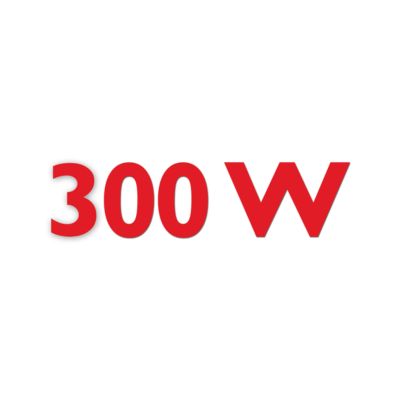 带 2 档速度的 300 瓦榨汁机