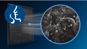 Der Philips Aktivkohlefilter entfernt Gase und Ger&uuml;che.