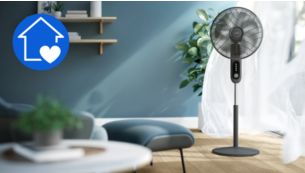 Dise&ntilde;ado para tu hogar