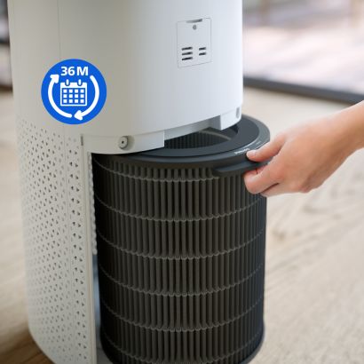 Philips Originalus pakaitinis filtras