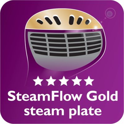 SmartFlow Gold steam plate for great results