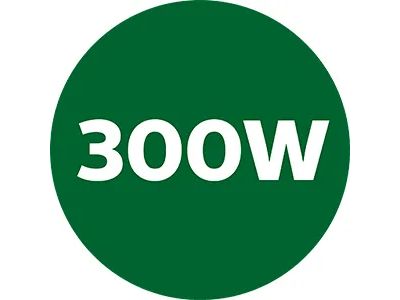 Powerful 300W motor for great results