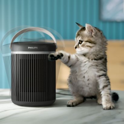 Philips Κεραμικό αερόθερμο μικρού μεγέθους