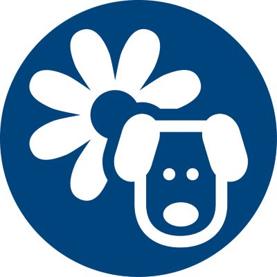 Itin jautrus alergenų režimas kenčiantiems nuo alergijų