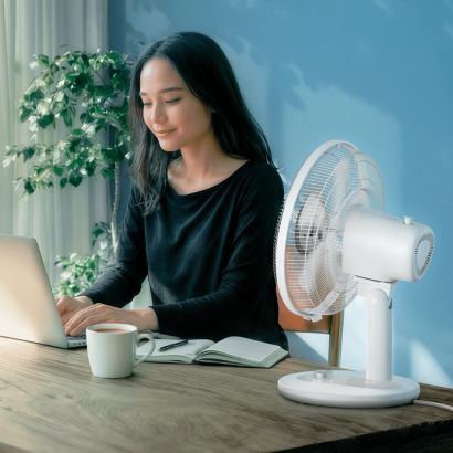 Philips Philips stolni ventilator serije 1000