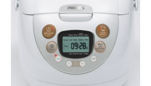 Large LCD with program and timer display