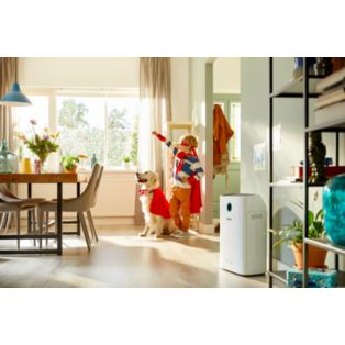 Purificateur et humidificateur d'air 2-en-1