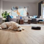 Ikdienas mitrā un sausā tīrīšana bez piepūles