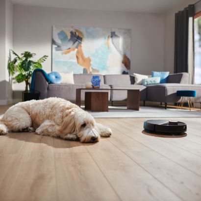 Philips HomeRun rečke za prah