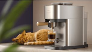 嘘&mdash;&mdash;很安静！