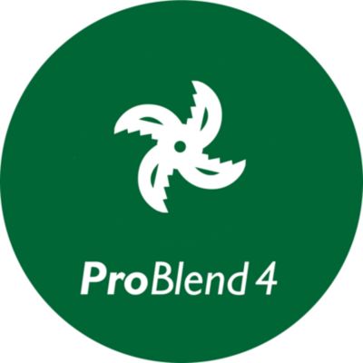 Keturkampės žvaigždės formos ašmenys