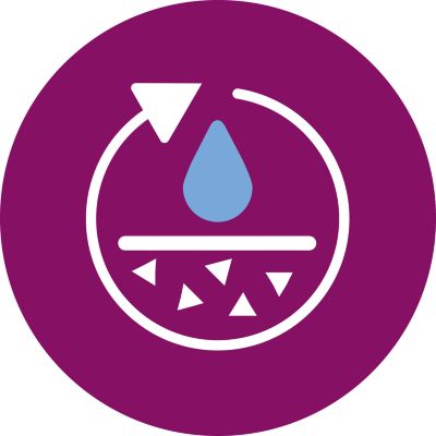 Función Calc-Clean para prolongar la vida útil de la plancha durante años