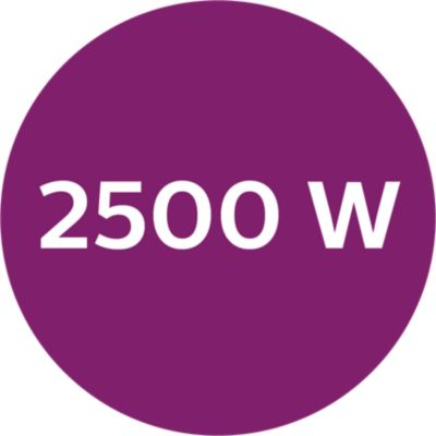 2500 W – greitai įkaista ir veiksmingai lygina