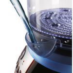 Atraskite nuostabiausius skonius