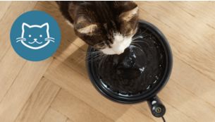 Knurh&aring;rsvenlig, den perfekte pasform