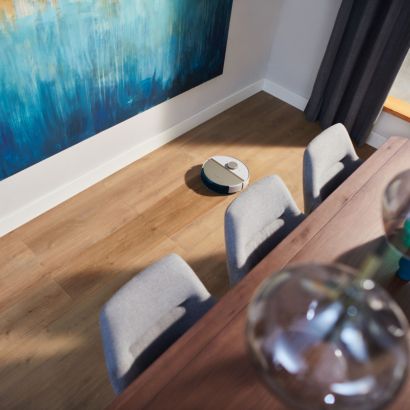 Igapäevane märg- ja kuivpuhastus ilma pingutuseta