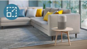 Compact size and sleek design