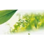 Save up to 20% energy*