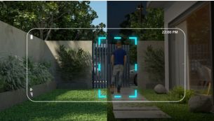 ثقة نهاراً وليلاً