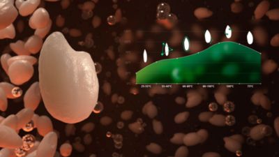 Intelligent cooking curve to ensure perfect cooking results