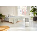 Pollen-free air