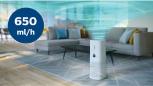 Humidification automatique jusqu'à 650 ml/h avec 4 réglages