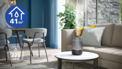 275 ml/val. srauto pakanka iki 41 m² ploto kambariams